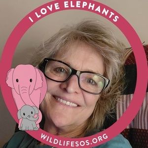 Meet your Posher, Catherine